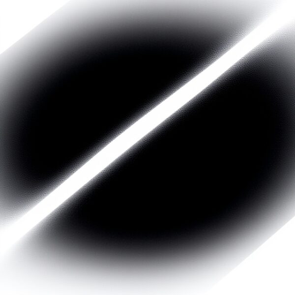 Gants longs Dolce Gabbana nylon noir femme accessoire