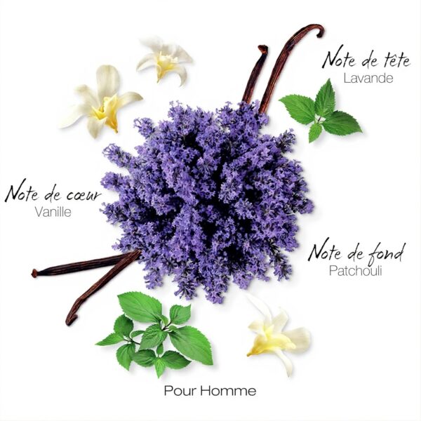 Mauboussin Original Homme Eau de Parfum Boisée Aromatique